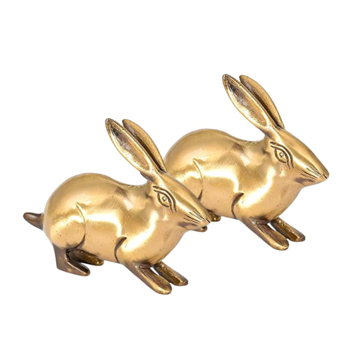 Brass Metal Rabbit Pair | Rabbit for feng Shui, Vastu Correction, Harmonious, Relationship, Remedy for Happyness